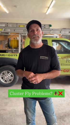 Think you can wait on cluster flies? Think again. Mike breaks down exactly when you need to treat to stop them before they swarm. Watch now and stay ahead of the invasion #clusterflies #clusterfly #pests #flies #pestcontrol #homecare #newyork #fingerlakes | Sweeney's Pest Elimination, LLC