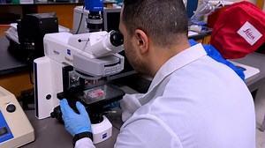 Analysis of Extracellular Vesicle-Mediated Vascular Calcification Using In Vitro and In Vivo Models