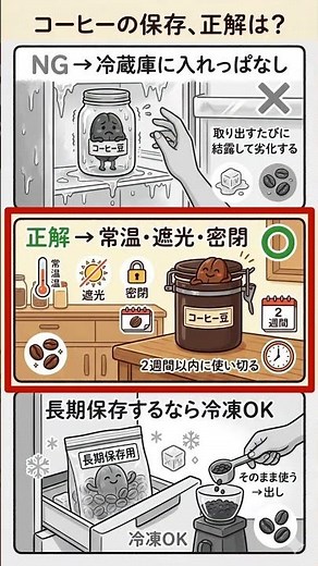 コーヒー豆を冷蔵庫に入れてるのはNG！正しい保存方法を解説します☕ #coffee #スペシャルティコーヒー #コーヒー好き #おうちカフェ