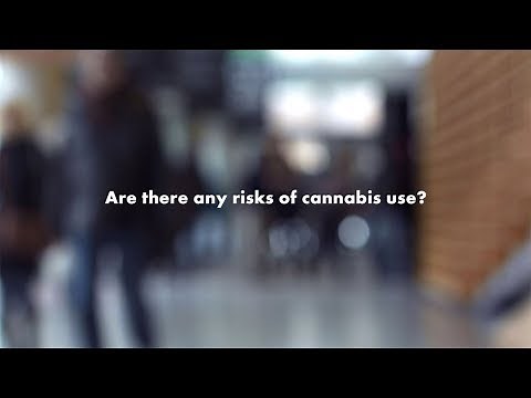 Your Cannabis Questions, Answered: Are there risks to using cannabis?