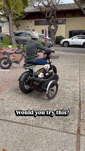 19K views · 27K reactions | One of the most FUN (& safe) activities to do with your dogs in Carmel CA. The pups were securely strapped in their little cart @maddogsbikeshop  for a scenic ride with their dad. . Dog Activities Biking Pet Parents Dog Dad Dog Mom Carmel California Carmel by the Sea Dog Friendly #dogmomlife #carmelbythesea #dogadventures #dogsofcalifornia #bikerides #dogdadlife | the_doggie_days | Facebook