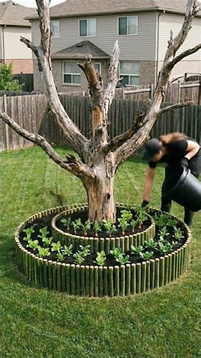Dead Tree Turned Into Backyard Fruit Garden