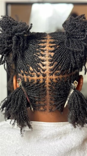Mastering Microlocs: Elevate Your Hair Craft