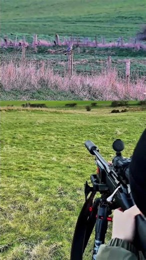 Bird Hunting Sniper Shoot | One Perfect#birdhunting