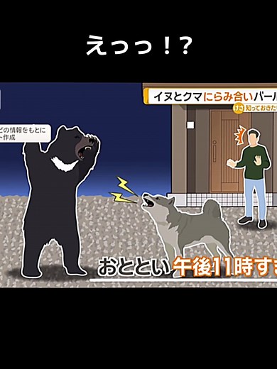 クマと秋田犬の対決が話題に