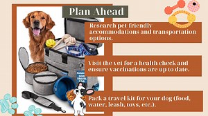 traveling with a dog