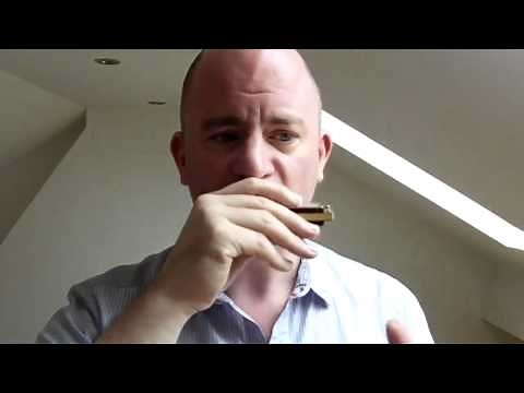 Harmonica Octaves Part 1 (Blues Harmonica Lesson)