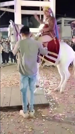 Amazing Horse DANCE Moves Caught on Video