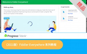 2021版-Fiddler全新视频使用教程