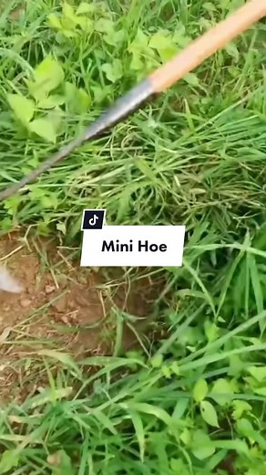 #gardentools #tools #outdoors #home #garden #weeding #foryou