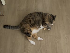【范fan泛】新作上线，快来看看！