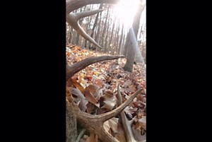 I am a big game hunter – trolls say I am a monster but I don't care