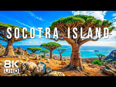 Socotra Island 8K UHD – The Mysterious Island of Unique Trees and Endless Horizons
