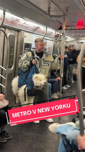 Takto sa jazdí metrom so psom v New Yorku 🐻‍❄️🇺🇸 …trošku som však vytesnil, že nie všetky metrá majú eskalátory, a že toto 26 kilové chlpaté vrece zemiakov v tom treba nosiť aj po nekonečných schodoch 😭 Takže zadychčaní, ale štýloví 😂🫶🏻 #f#ffyp #foryou #foryoupage #pes