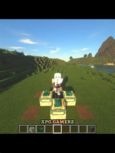 Minecraft 1x1 End Portal Trick 😳 #minecraft