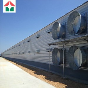 [Hot Item] Steel Modern Poultry Farms Large Shed Prefabricated Design Chicken Breeding House