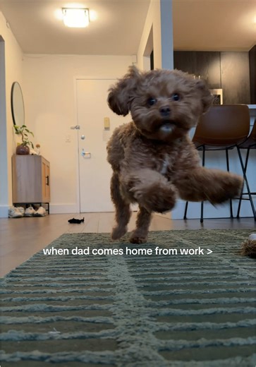 Creative Rugrats Costume Ideas for Everyone