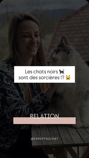 Chat noir et Halloween : ce que tu dois absolument savoir 🎃 Ils sont mystérieux, élégants… mais aussi victimes de beaucoup de préjugés. Les chats noirs ont longtemps été associés à la sorcellerie, au surnaturel et à la malchance — surtout en Europe. Résultat : ils sont devenus de véritables icônes d’Halloween, liés aux sorcières, à la nuit, à l’inconnu… 🖤 Mais ce qu’on oublie, c’est qu’ils sont comme tous les autres chats : sensibles, adorables, et remplis d’amour à donner. ✨ Si toi aussi tu v