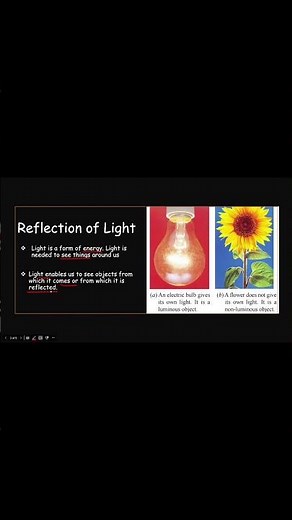 How we see objects . Reflection of light. class 10 chapter 10 light . #class10science #ncert #cbse