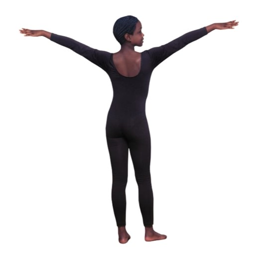 Animorphs_19_Flipbook