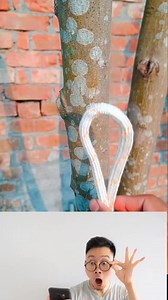 😱💥super rope knot | Nonstop Viral