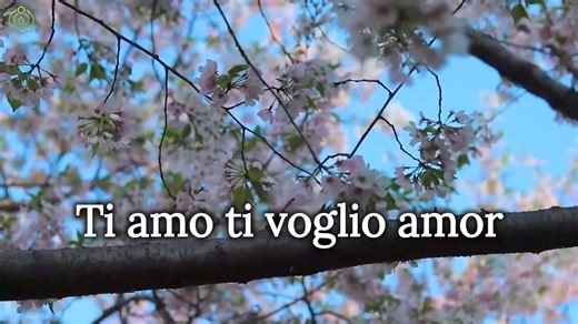 I CAN'T GET YOU OUT OF MY HEART - Al Martino (1959) | MUSIC of MY LIFE