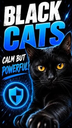 Cat Psyche 101 Black Cats Are Quietly Brilliant 🐈‍⬛🖤 #cats