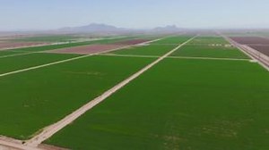 1.2K views · 30 reactions | Discover how Netafim’s precision irrigation is transforming alfalfa farming for John Summers. Watch this teaser to see how efficiency meets growth with every drop. Stay tuned for the full story! #GrowMoreWithLess #Alfalfa #PrecisionIrrigation #NetafimUSA | Netafim USA | Facebook