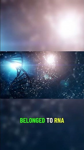 The RNA World Hypothesis Explained 🧬