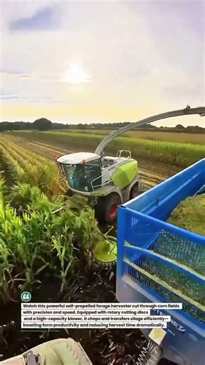 High-Speed Corn Silage Harvester in Action #FarmingTech #Harvesting #AgriWork