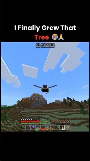 Minecraft #minecraft chicken tree video