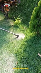 Upgrade your lawn mowing game with a chaffcutter machine attachment! 🌿 This innovative tool helps you efficiently cut grass and trim lawns with precision. Say goodbye to manual labor and hello to a cleaner, well-kept yard in no time. Save time and effort while achieving professional-looking results every time. Whether you're a landscaping enthusiast or looking to boost productivity on your property, this attachment is the perfect addition to your equipment lineup. Get ready to level up your law