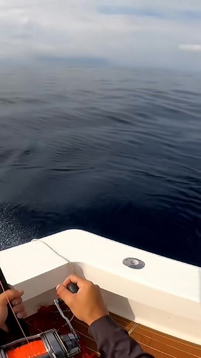 Fish on! ... - 7510370771060018462 . #offshorefishing #dolphin #fishtok #mahi #fishing #offshore | Beaufort SC Fishing