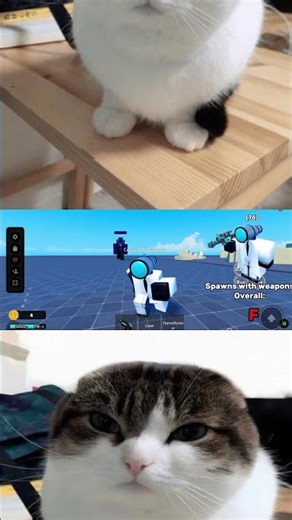 (PREVIEW) Sbsd Tier List of 2025 (rip...)