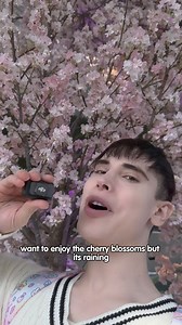 BEST Sakura experience! 🎀 Must-visit in Tokyo! 🌸 #sakura #sakurajapan #tokyo #japan #sakuraseason #livinginjapan #kawaii #cute #tokyolife | Blippo