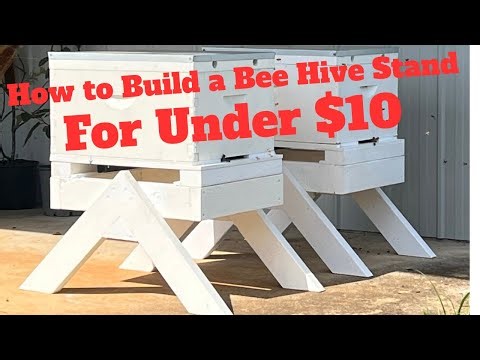 Building a Bee Hive Stand for Under $10 - Easy at Home DIY Money Saver