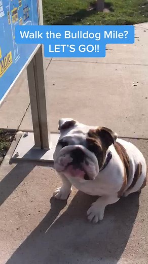 Drake University on TikTok