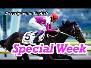 Japanese General - Special Week（スペシャルウィーク）