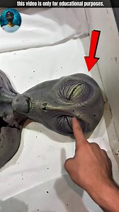 You will believe in alien after seeing this #reelsviralシ #viralreelsシ #reelsfbシ #viralvideoシ #reelsfypシ #facts #reelsvideoシ #reels #virals #reel | Facts'Mea