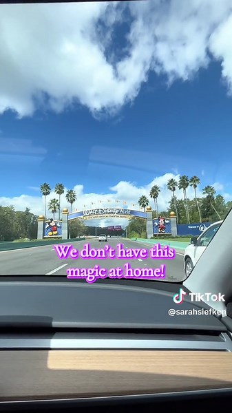 Experience the Magic of Walt Disney World Sign