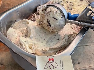 ‘Rich, Creamy’ Cicada Ice Cream Makes Comeback In Princeton