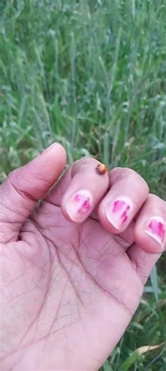 Result aane pr aap v aise bolted the kya🥰🥰comment kr k btaye