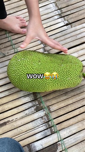 siapa? (@m_aneska)’s videos with suara asli - siapa?