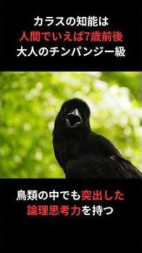 カラスは本当に賢いのか？研究で判明した7つの事実