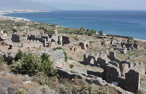 Anemurium - Alchetron, The Free Social Encyclopedia