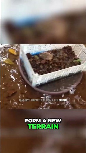 Find Diamonds! Alluvial Deposits Are the Best & Most Affordable! #shorts