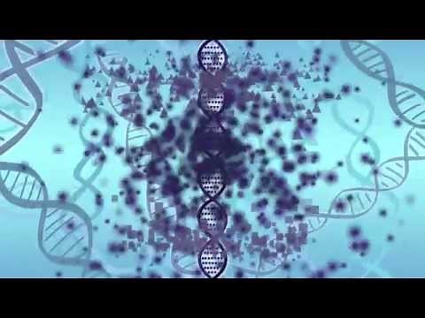 Your DNA, the Environment, and Epigenetics