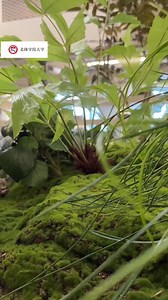 北陸学院大学金沢駅前キャンパスについて