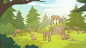 KTVU Fox 2 on Reels | Facebook