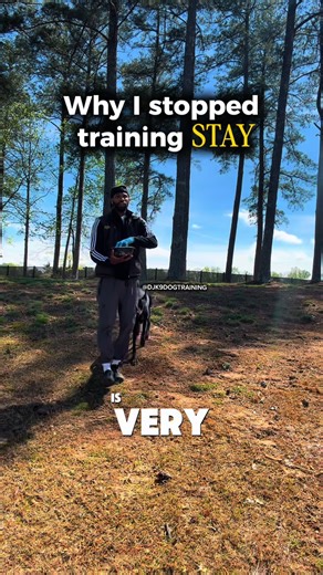 ❗️“Stay” turns into background noise for a lot of dogs. So I skip it and focus on a release command instead. Way more clarity, way less frustration. #atlantadogtrainer #obediencetraining #boardandtrainprogram #atldogtrainer #dogtrainingtips